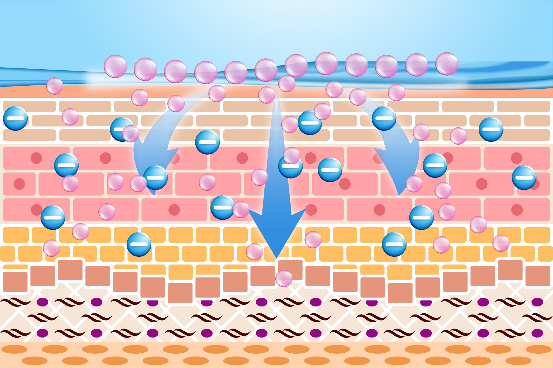 Image Single Product