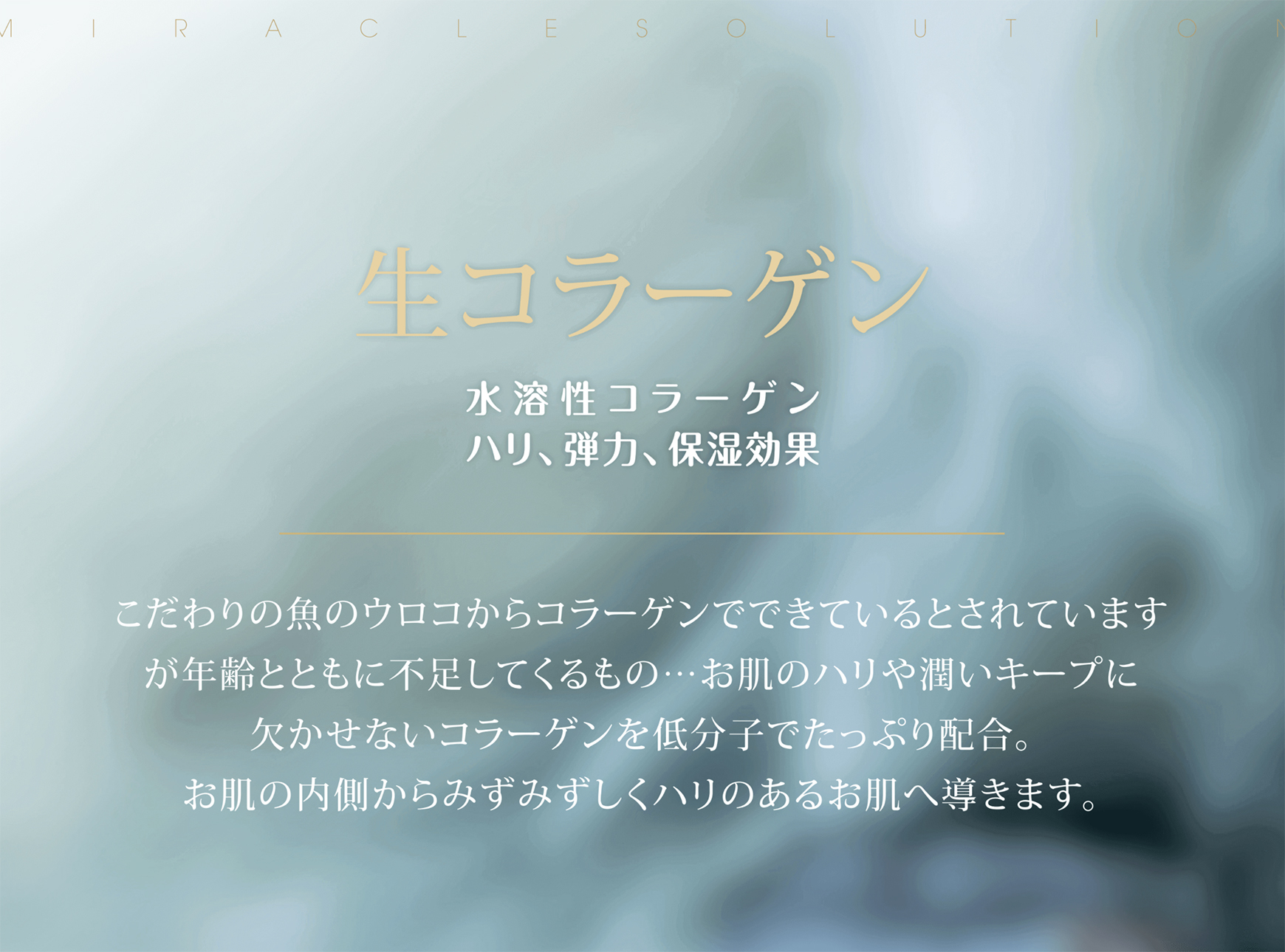 Image Single Product