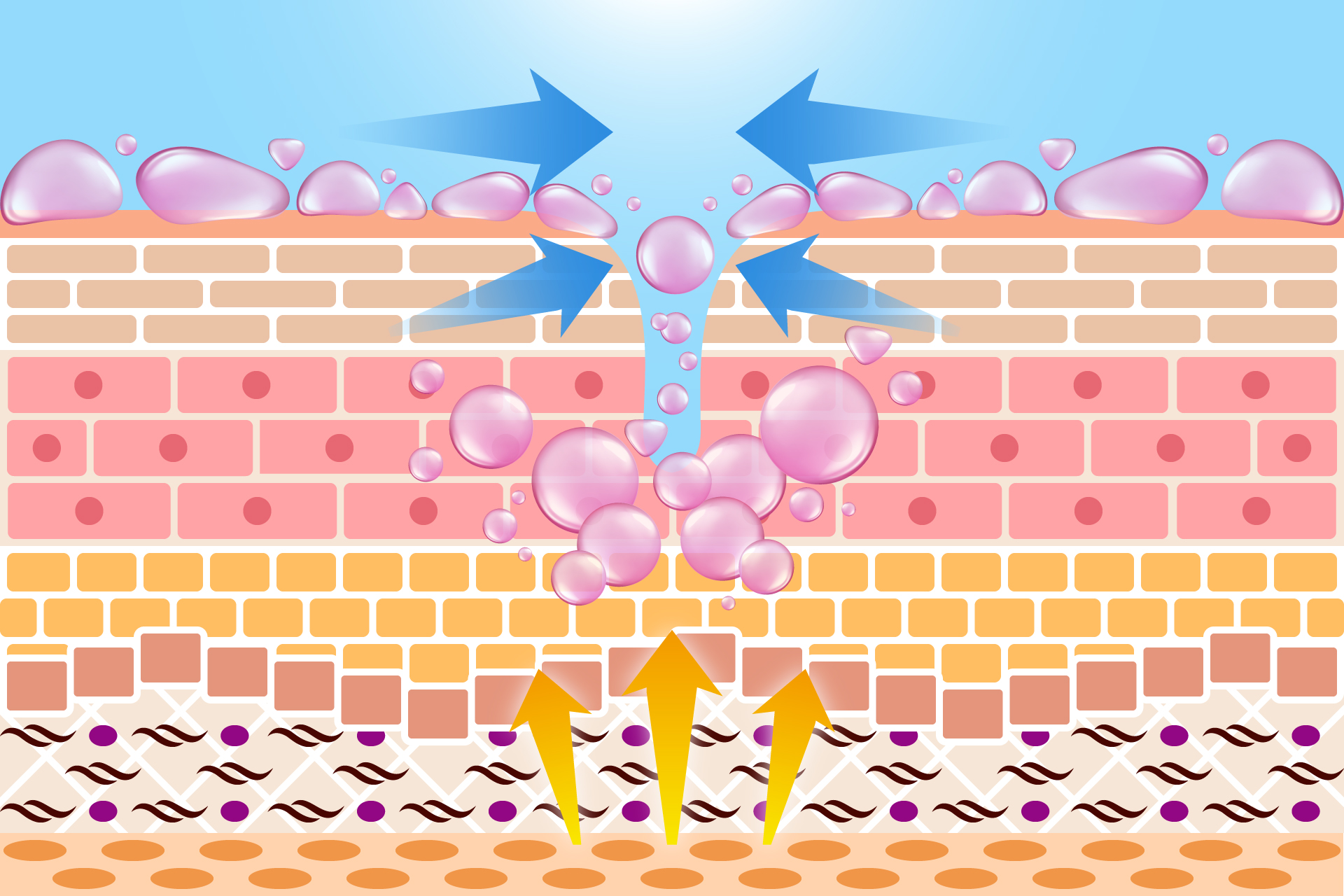 Image Single Product